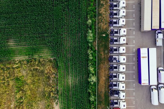 Cloudová data v logistice: Klíč k efektivitě a konkurenceschopnosti